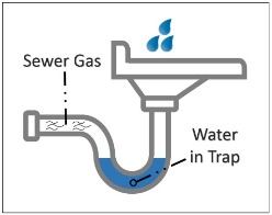 picture of sink drain and trap