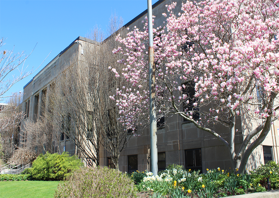 St. Catharines City Hall
