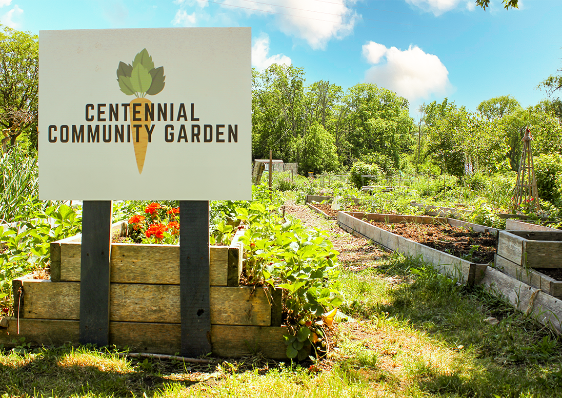 Centennial Community garden