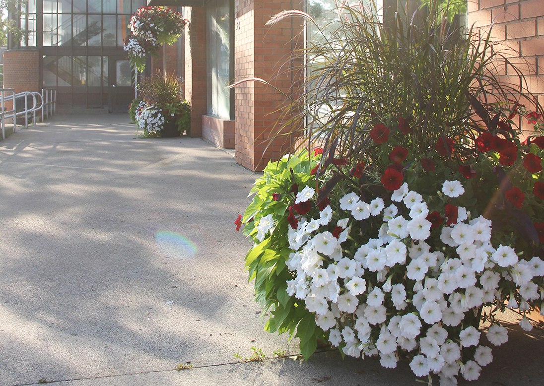 A flower pot sits outside of a business front in St. Catharines.