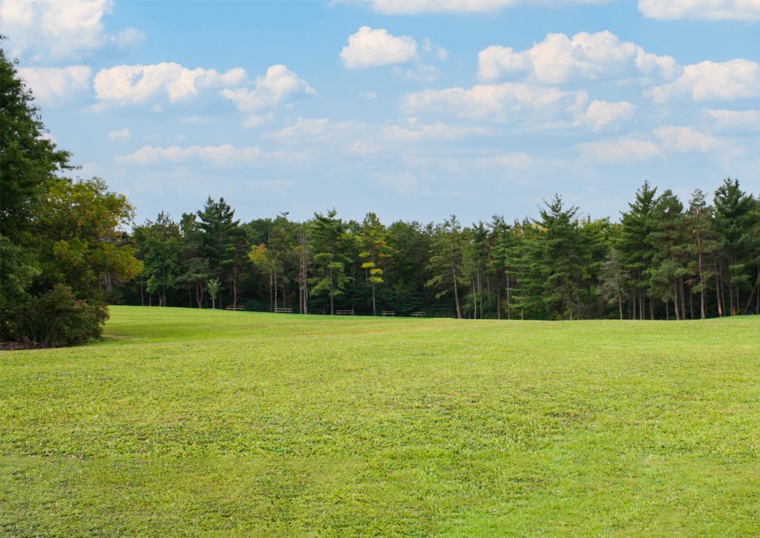 An open field and greenspace in a City of St. Catharines park