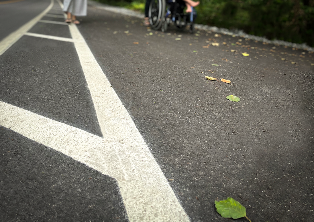 Roadway and trail at Henley Island