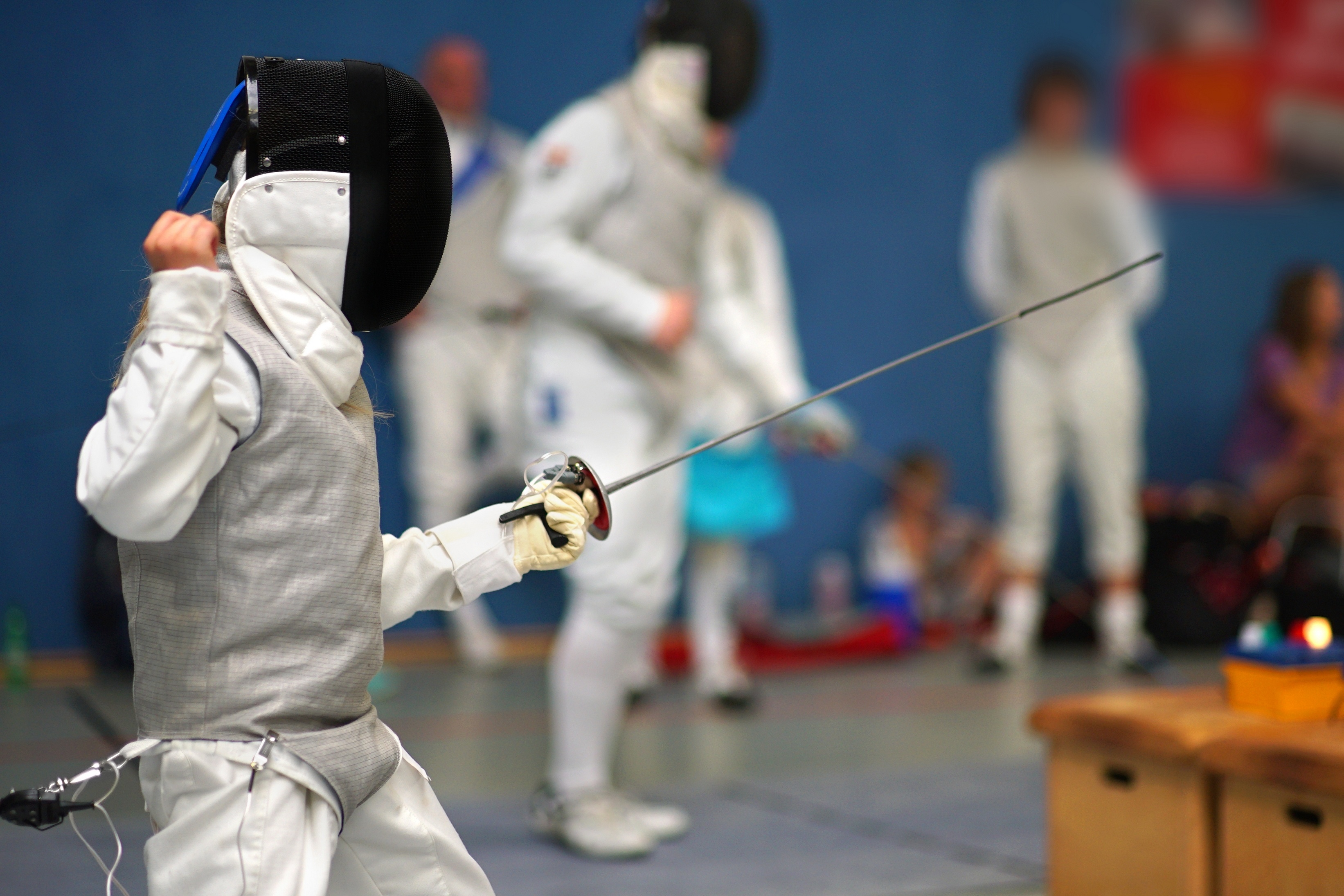 A Fencing Program