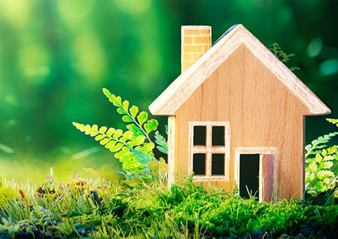 tiny wooden house among greenery