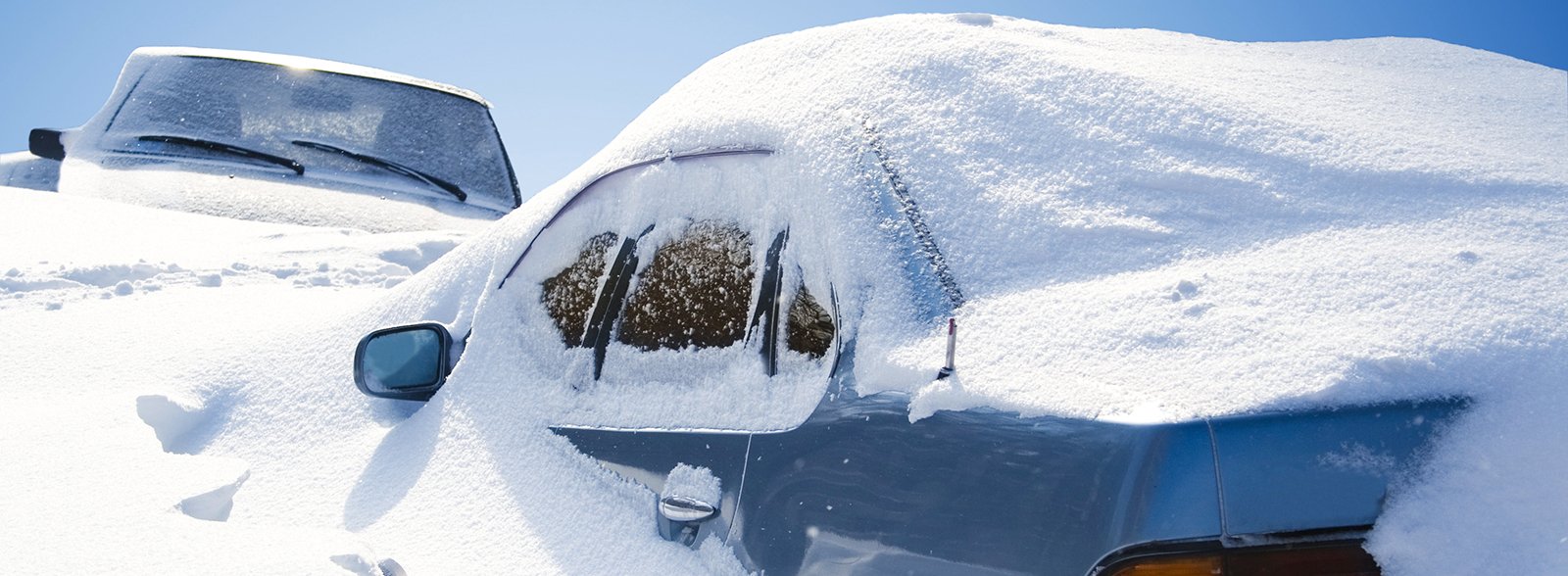 Cars covered in snow